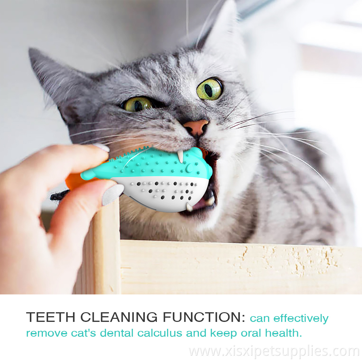 Pet Suppliers Customized Luxury Eco Pet Cat Toothbrush Toy
